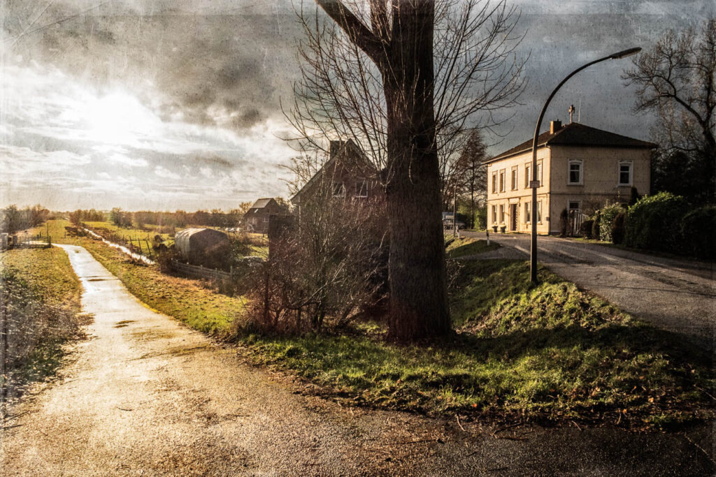 Aus der Fotoserie Vierlande -  VWet 101 - Nach dem Regen - 2025