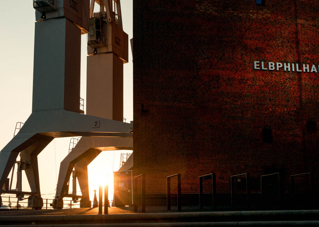 Die Krähne an der Wasserseite der Elbphilharmonie bei Sonnenuntergang.